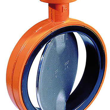 Butterfly Wouter Witzel